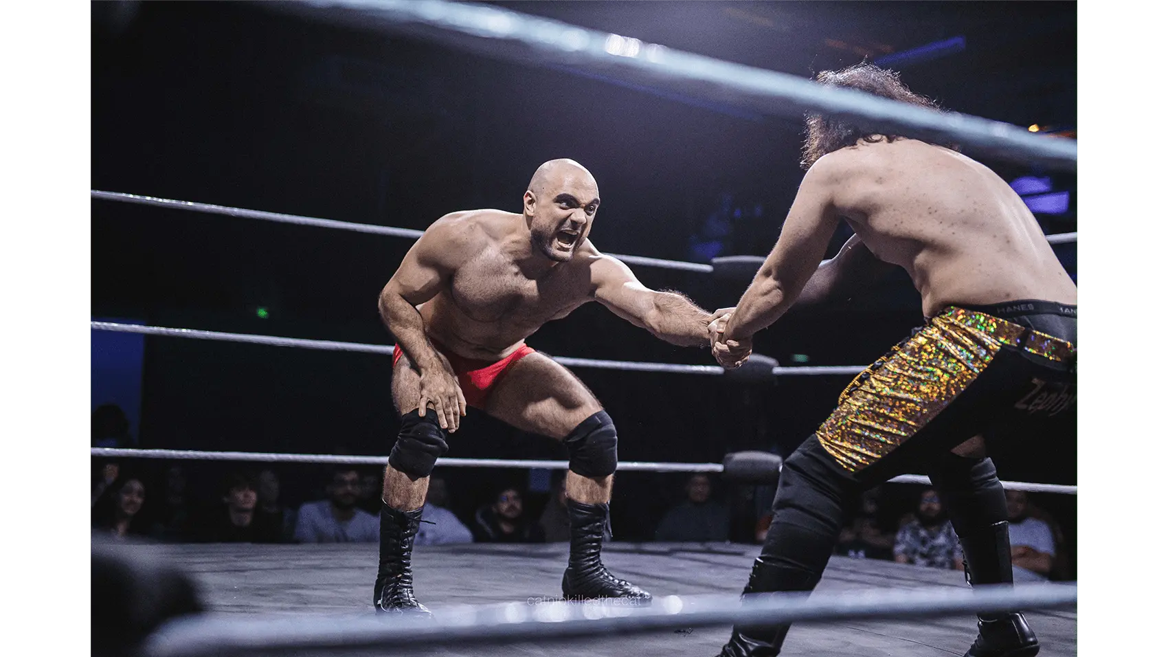 Dubai Pro Wrestling